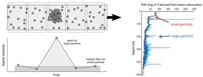 Sinking Organic Particles in the Ocean—Flux Estimates From in situ Optical Devices